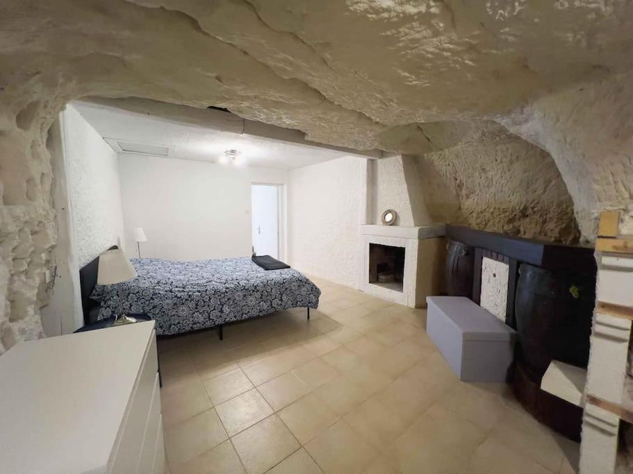 Maison Semi-Troglodyte Avec 4 Velos Rochecorbon Eksteriør billede